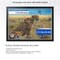 ArtToFrames 27.56x19.69 INCH / 70x50 CM Puzzle Frame for 1000 piece Puzzles.This 1.25 Inch Custom MDF Frame for Puzzles Comes with Economy Acrylic, Available in Multiple Colors